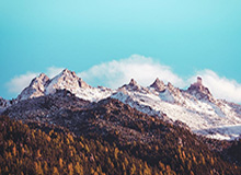 石狮溯源：靖国神社前的中国石狮历史探寻