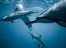 陈星旭温暖回应粉丝，传递正能量